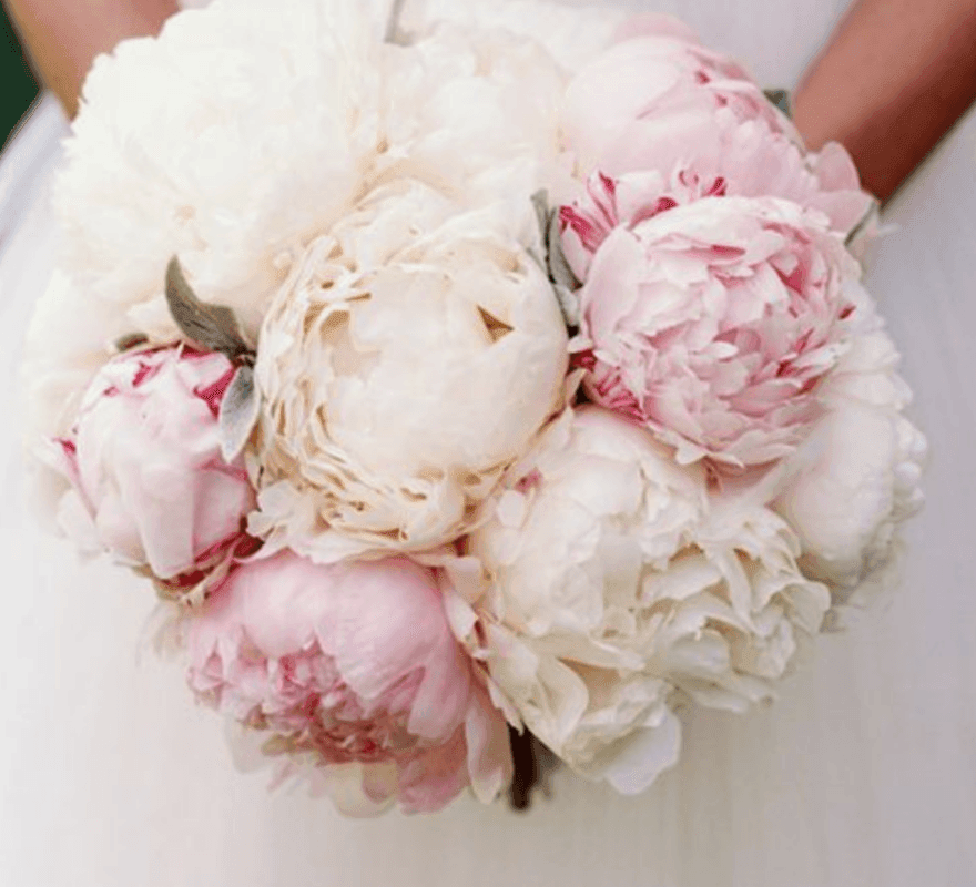 Close-up of a bride holding a bouquet of soft pink and white peonies with green leaves.
